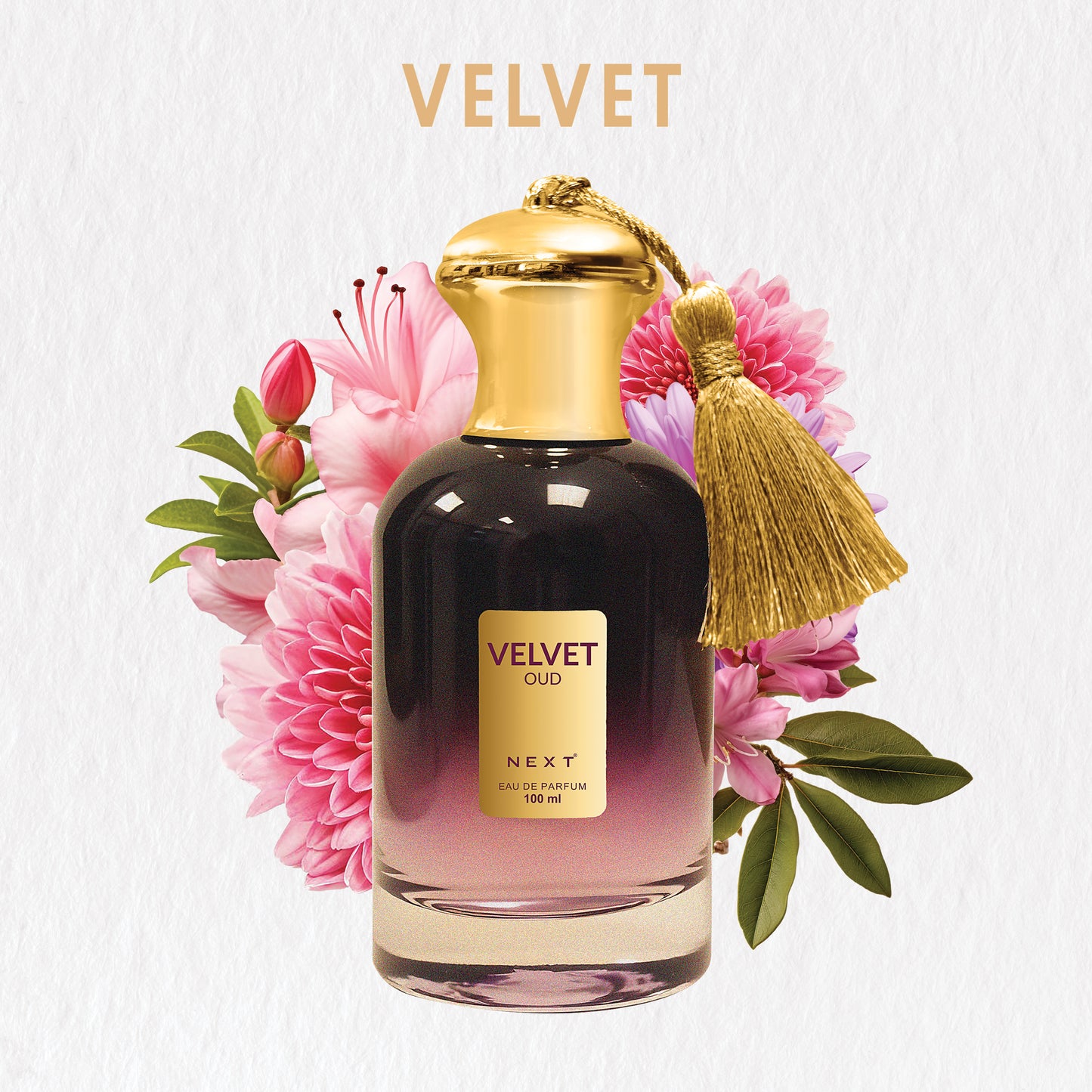 Next Care Luxury Velvet Oud Perfume Long Lasting Eau de Parfum - 100 ml (For Men & Women)
