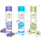 Pack of 3 Air Fresheners Spray (Next English Leather Lavender, Fresh Breeze, and Fusion ) - 220ML Each